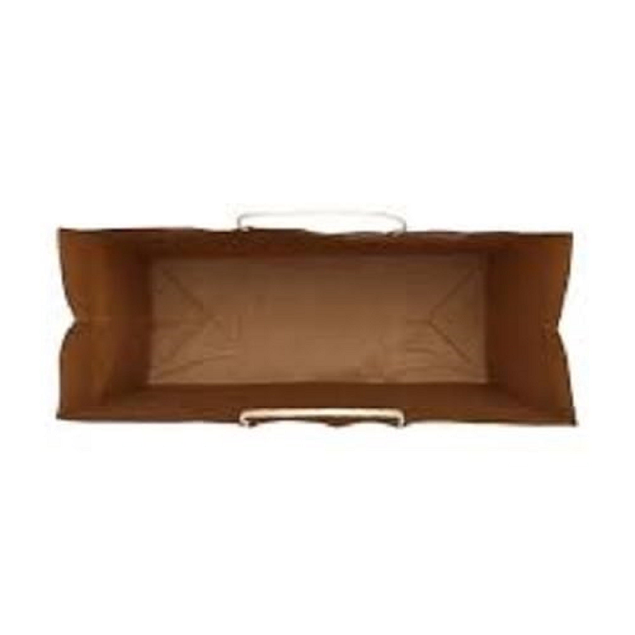 Brown Kraft Paper Shopping Bags with Twisted Handles | Pack of 25 | Reusable Eco-Friendly Carry Bags