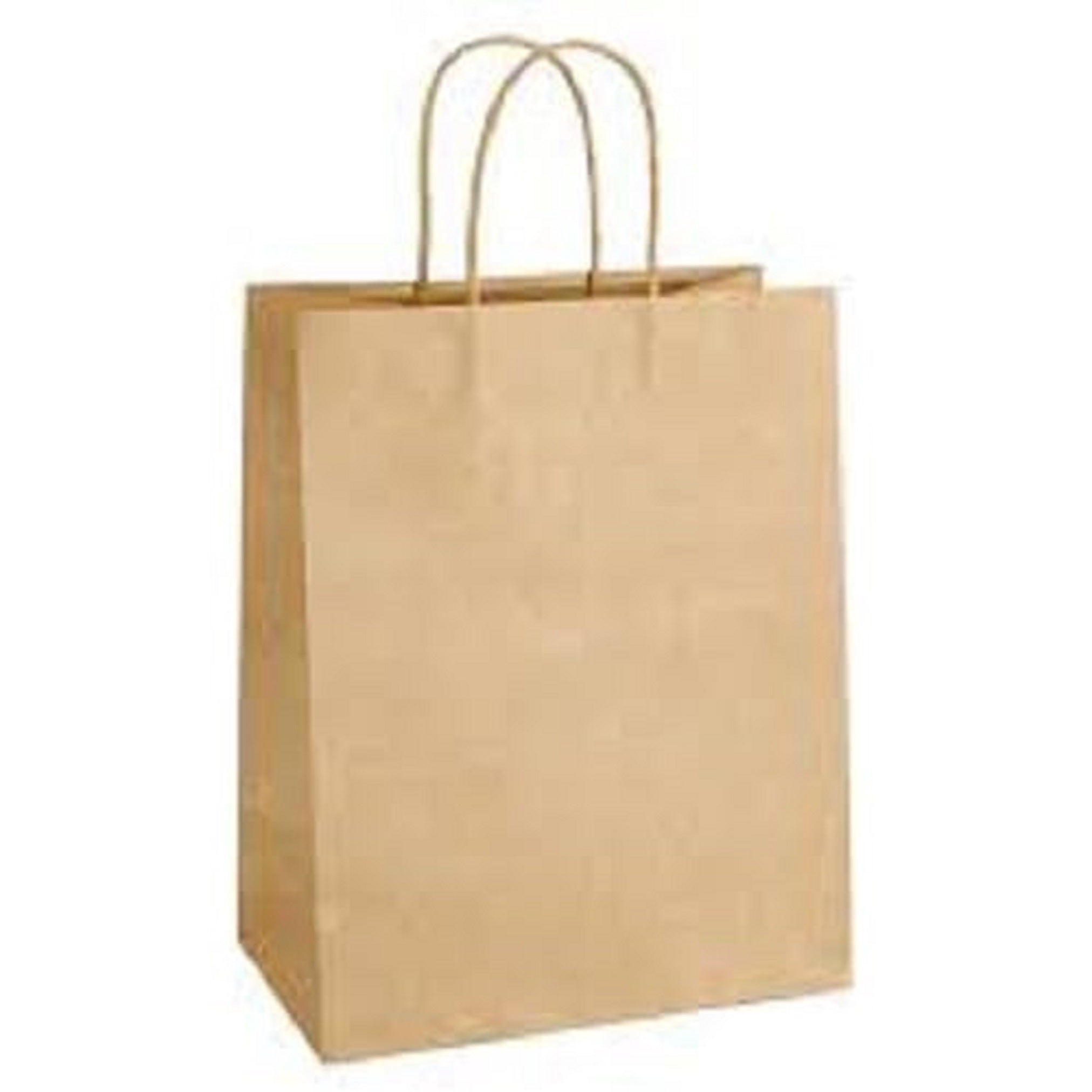 Brown Kraft Paper Shopping Bags with Twisted Handles | Pack of 25 | Reusable Eco-Friendly Carry Bags