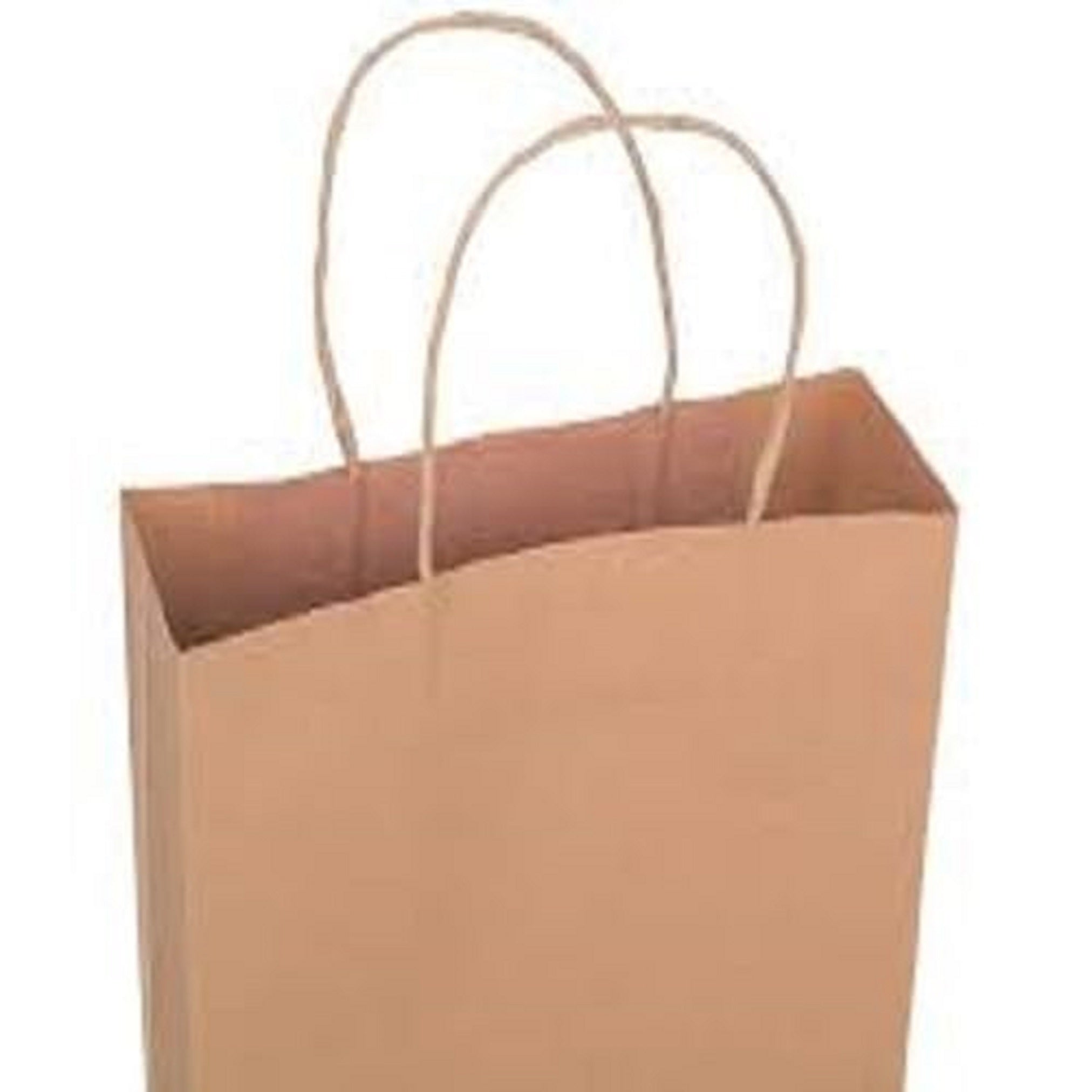 Brown Kraft Paper Shopping Bags with Twisted Handles | Pack of 25 | Reusable Eco-Friendly Carry Bags