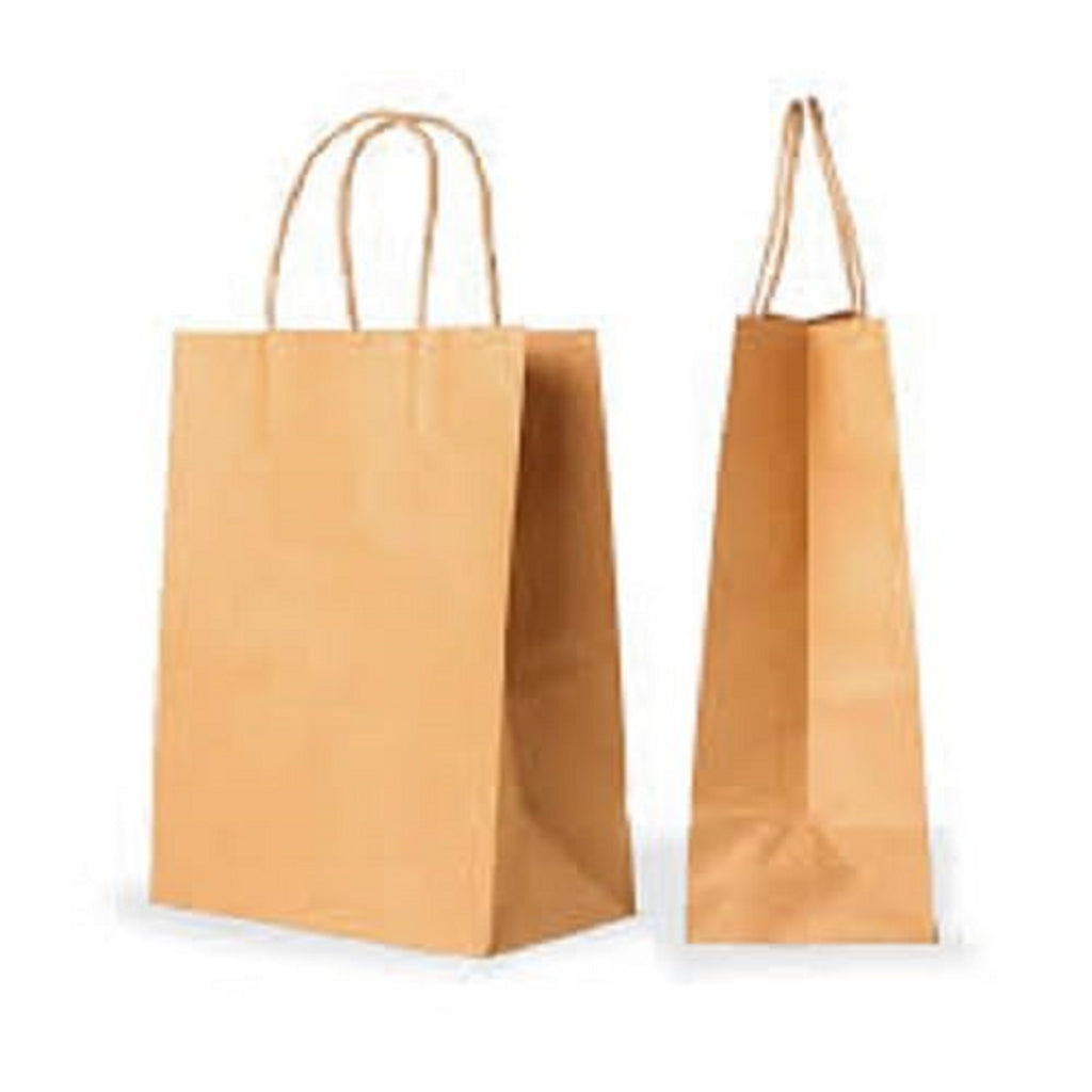 Brown Kraft Paper Shopping Bags with Twisted Handles | Pack of 25 | Reusable Eco-Friendly Carry Bags