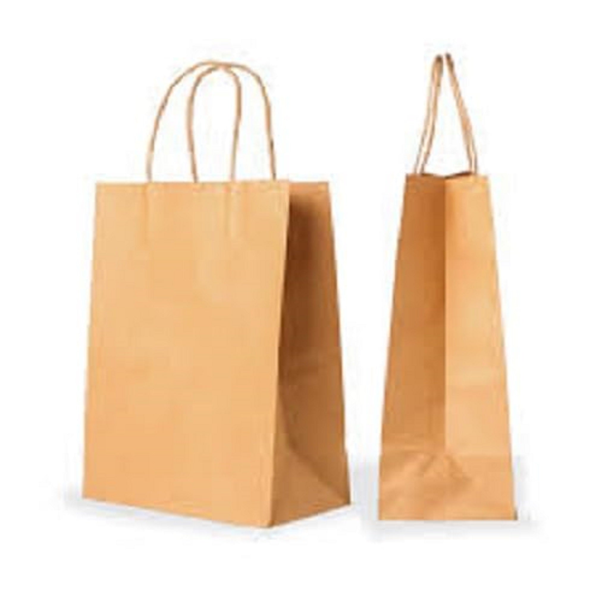 Brown Kraft Paper Shopping Bags with Twisted Handles | Pack of 25 | Reusable Eco-Friendly Carry Bags