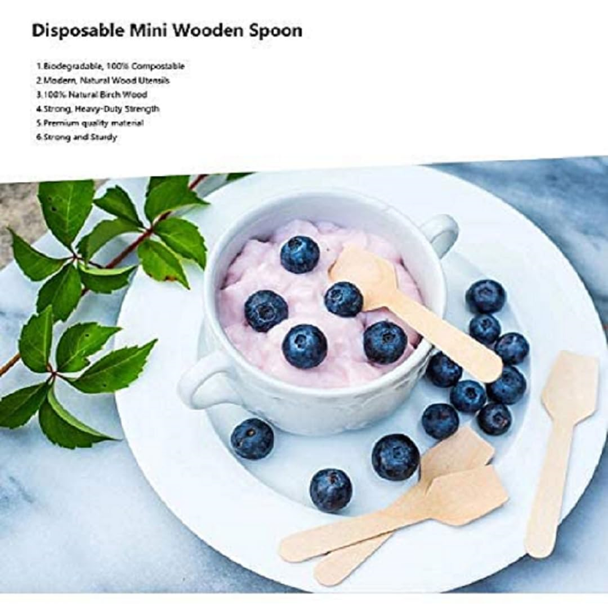 Wooden Mini Spoons Pack of 100 | Eco-Friendly Disposable Birch Spoons